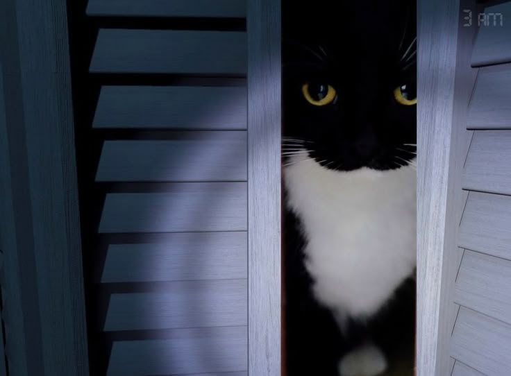 this is a image of a tuxideo cat peeking out of a closet like in fnaf
